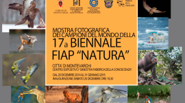 biennale fiap natura valdarno montevarchi toscana